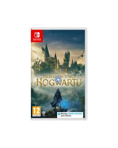 Switch Hogwarts Legacy