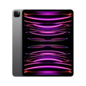 Apple iPad Pro 2022 Wifi 512GB 12,9" 32,8 cm space grau