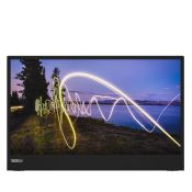 Lenovo ThinkVision M15 schwarz