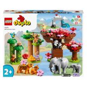 LEGO DUPLO 10974 Wilde Tiere Asiens
