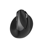 Delux Vertikale M618Mini DB BT+2.4G-Maus