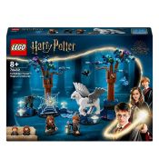 LEGO Harry Potter 76432 Der verbotene Wald™: Magische Wesen