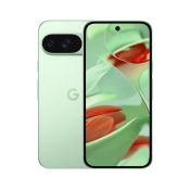 Google Pixel 9 12/128 GB Wintergreen