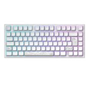 Dark Project ALU81A Terra Nostra White ISO DE Multilingual Support