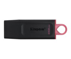 Kingston 256GB DataTraveler Exodia