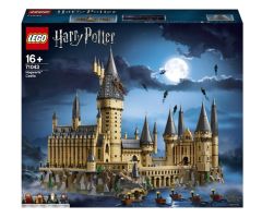 LEGO Harry Potter 71043 Schloss Hogwarts™