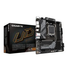 Gigabyte B650M DS3H