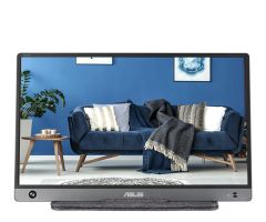 ASUS ZenScreen MB16AH 39,6cm (15,6") TFT