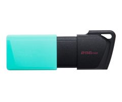 Kingston 256GB DataTraveler Exodia M USB 3.2 Gen 1