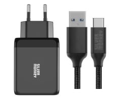 Silver Monkey GaN 65 W Wandladegerät + 2 m USB-C-Kabel.