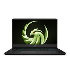 MSI Alpha 17 R9-7945HX/16 GB/1 TB RTX4060 240 Hz