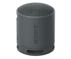Sony SRS-XB100 schwarz