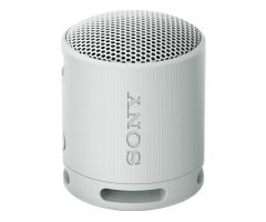 Sony SRS-XB100 grau