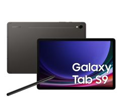 Samsung Galaxy Tab S9 11" 12/256GB, WiFi, S Pen, szary