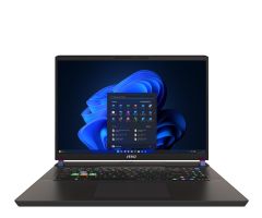 MSI Vector 17 HX i9-14900HX/32 GB/1 TB/Win11 RTX4070 240 Hz