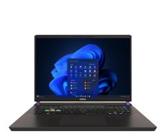 MSI Vector 17 HX i9-13980HX/32 GB/1 TB/Win11 RTX4090