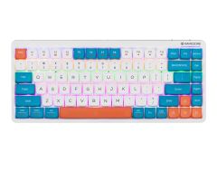 Tracer FINA 84 Weiß/Blau