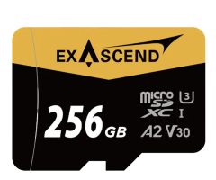 ExAscend 256GB microSDXC Catalyst UHS-I