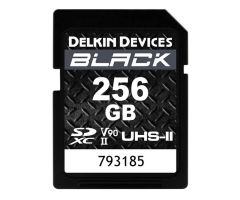 Delkin Devices 256GB SDXC BLACK Rugged UHS-II (V90)