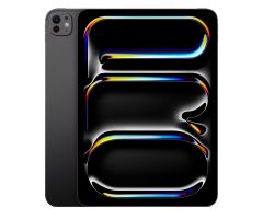 Apple iPad Pro 11" 256GB Wi-Fi Space Schwarz