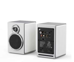 FiiO SA1 Schwarz-Weiß-Bluetooth