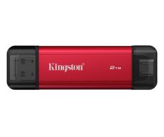 Kingston 2TB DualPortable