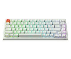 SMX Kishu Switch Jelly weiß