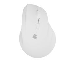 Natec CRAKE 2 VERTIKALE kabellosE 2400DPI BLUETOOTH 5.2+2.4