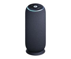 Motorola Moto Sound Flow carbon