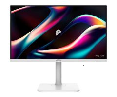 MSI PRO MAX 241PHW E14