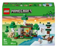 LEGO Minecraft 21593 Erstes Abenteuer in der Nacht