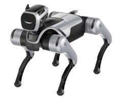 Magiclab Magicdog Edu